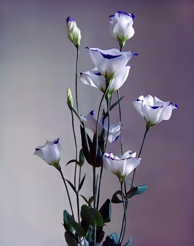 №192, Svetulichkin Kruponika, 34 года, Киев №192, Svetulichkin Kruponika, 34 года, Киев