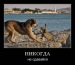 Sergei Azizov фотография #44