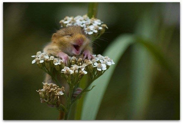 Татьяна Зензерова | Всеволожск