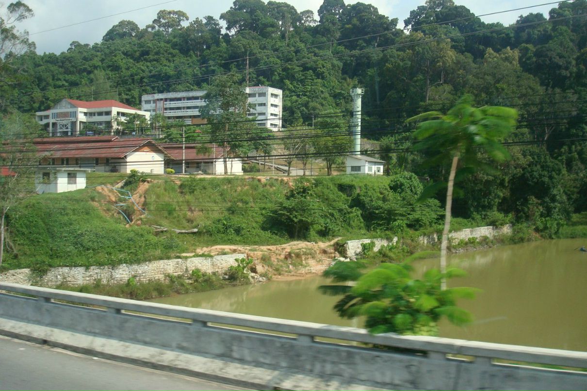 Вера Колесник | Братск