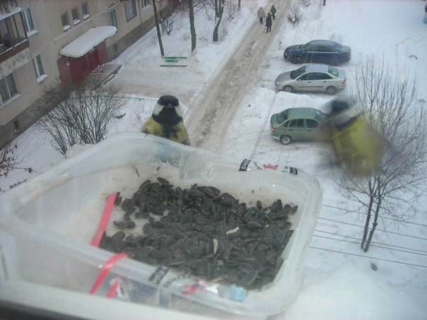 №22, Надежда Григорьева, 14.06.1954, Всеволожск №22, Надежда Григорьева, 14.06.1954, Всеволожск