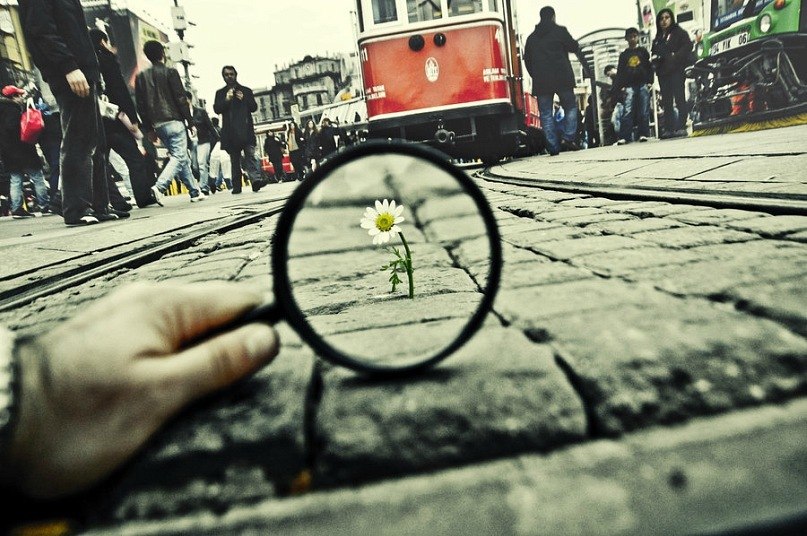 Алы Садыгов | Москва