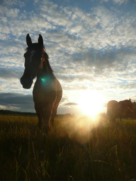 №42, Alyonka Matveeva, Juva №42, Alyonka Matveeva, Juva