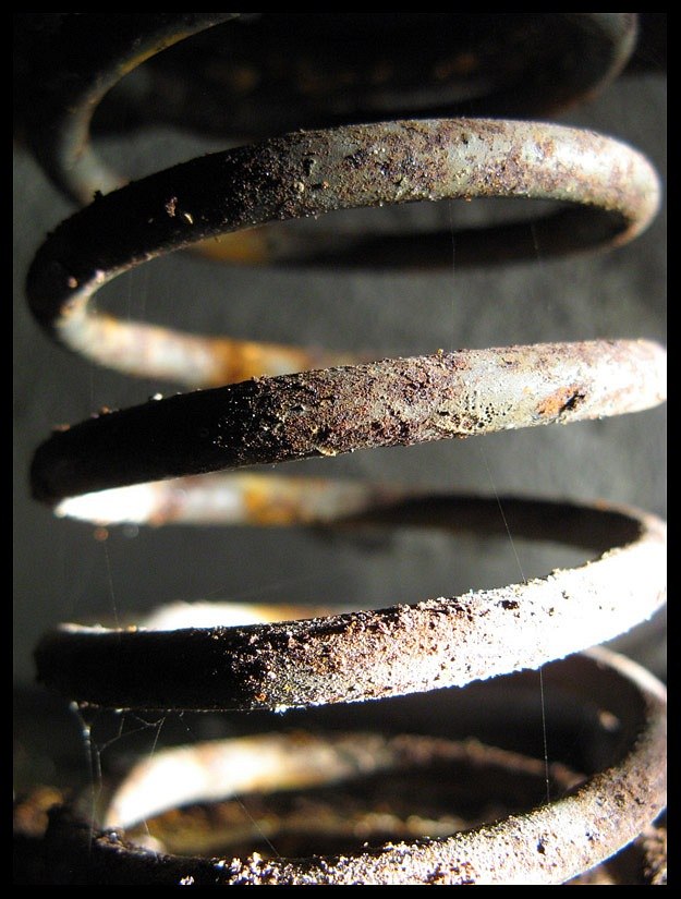 Леонид Ширяев 