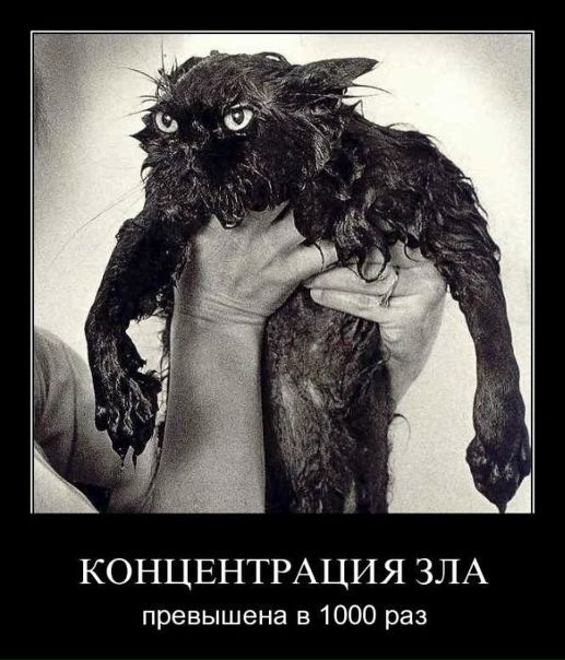 №1, Иван Горбунов, 37 лет, Мурманск №1, Иван Горбунов, 37 лет, Мурманск