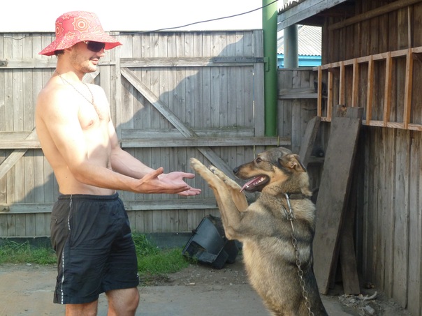 №10, Андрей Сакс, Омск №10, Андрей Сакс, Омск