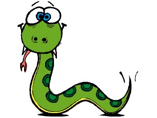 Алексей Шешуков | Новосибирск