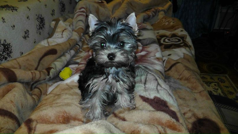 Юлия Иванова | Москва