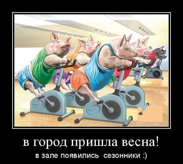 Mr Goof | Москва