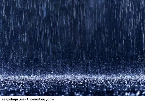 Андрей Мельник | Киев