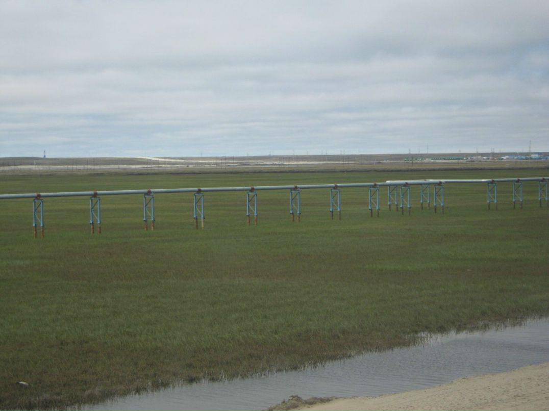 Андрей Четвериков | Фаленки