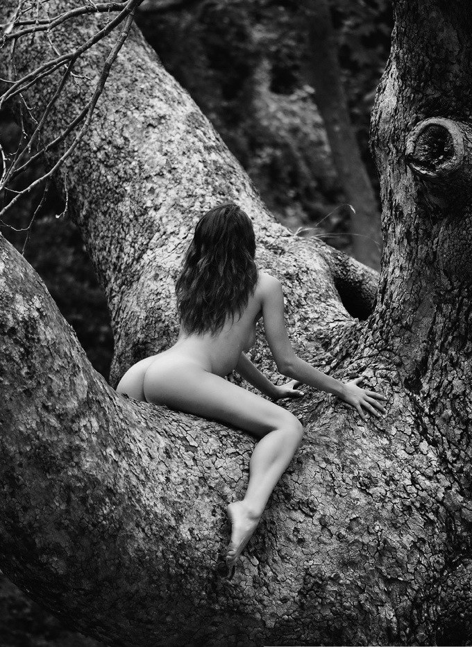 Алексей Спиридонов Elfowar | Рязань