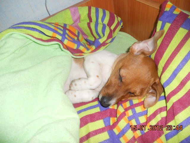 Ольга Лашина | Москва