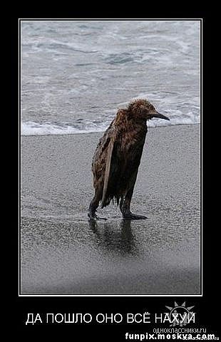 Маргарита Подлужная | Ростов-на-Дону