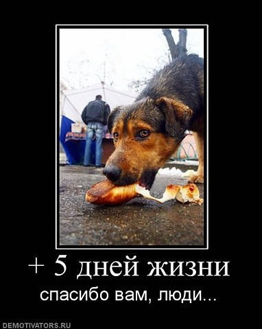 №26, Настюшка Паршина №26, Настюшка Паршина
