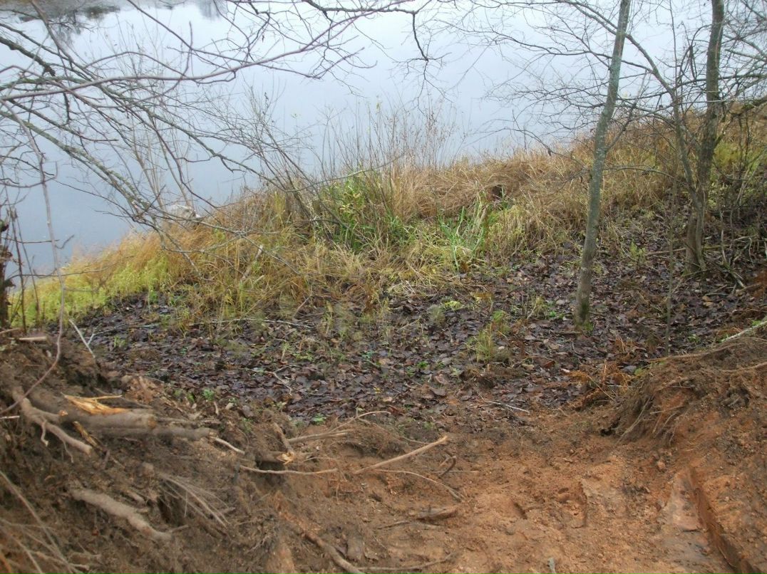 Михаил Андриенко | Санкт-Петербург