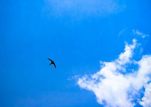 №26, Юлия Сачко, 02.08, Киев №26, Юлия Сачко, 02.08, Киев