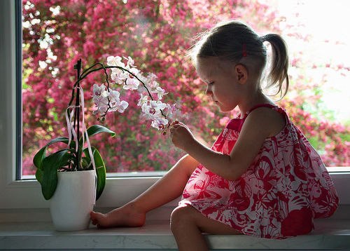 Тетяна Залізко-Грінякова | Кременец