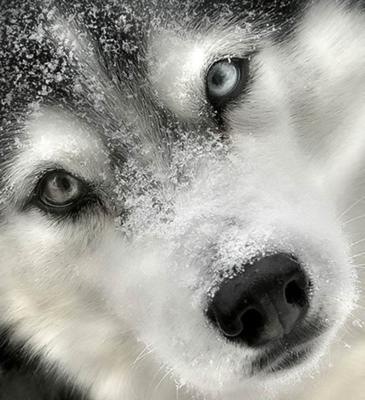 №166, Евгений Стахов, Ватутино №166, Евгений Стахов, Ватутино