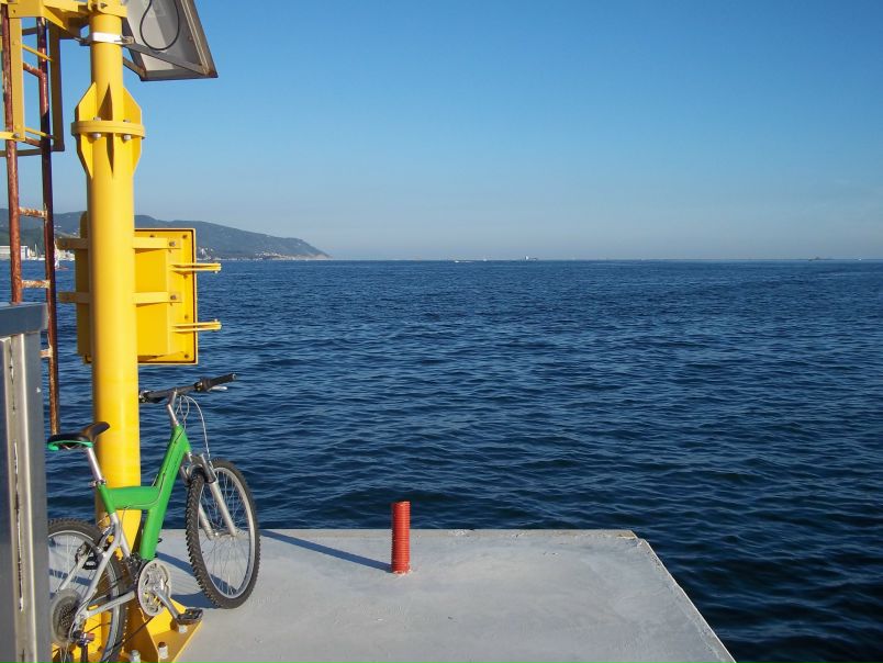 №4, Антон Васюков №4, Антон Васюков