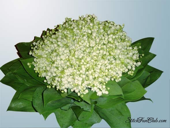 №6, Вера Новикова, Конаково №6, Вера Новикова, Конаково