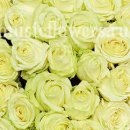 №78, Максим Тарасов, 37 лет, Казань №78, Максим Тарасов, 37 лет, Казань