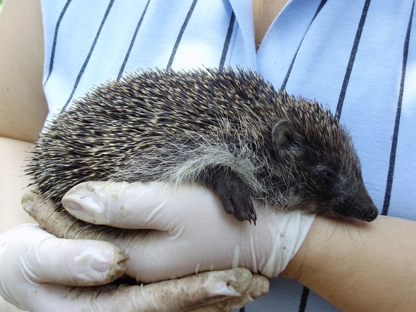 №20, Сергей Борута, 44 года, Харьков №20, Сергей Борута, 44 года, Харьков