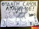 Фотография Светлана Туркина