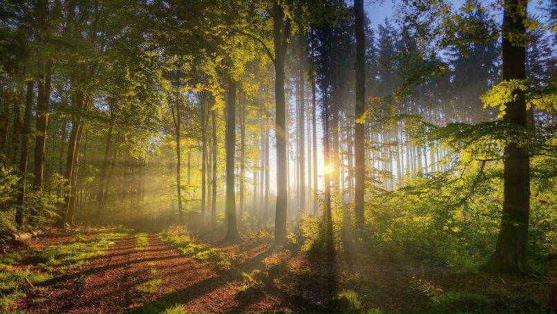 Максим Иоффе | 