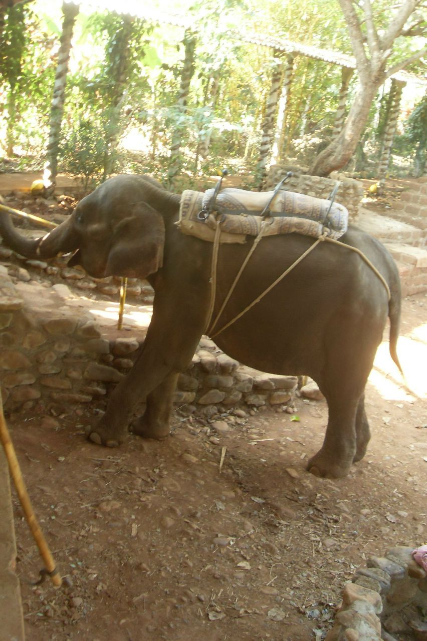 Оля Радченко | Минск