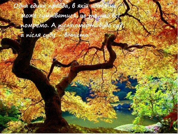 Добрий Хлопець | Львов