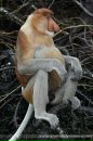 №22 Элеонора Золошкова : профиль, фото, статус - ВКонтакте