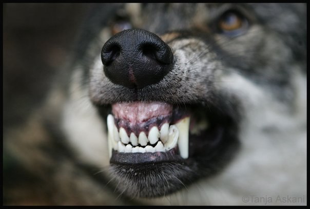 Алексей Бондаренко | Казань