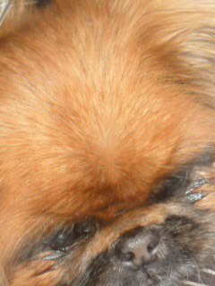 №197, Екатерина Спирова, 37 лет №197, Екатерина Спирова, 37 лет