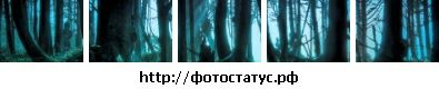 Фотография Сергей Бул