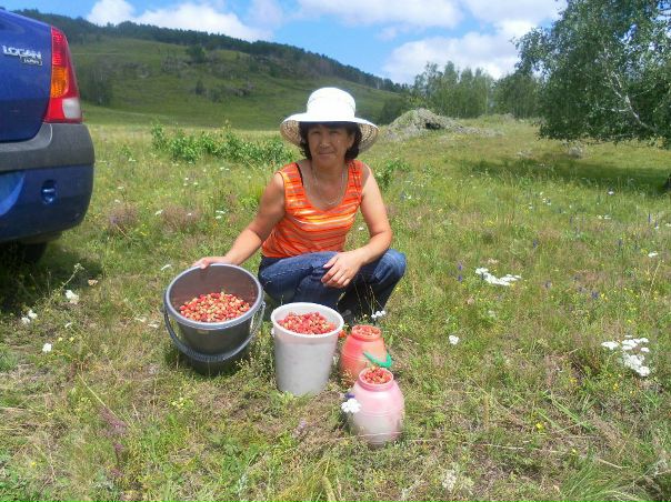 №7, Инсаф Магафуров №7, Инсаф Магафуров