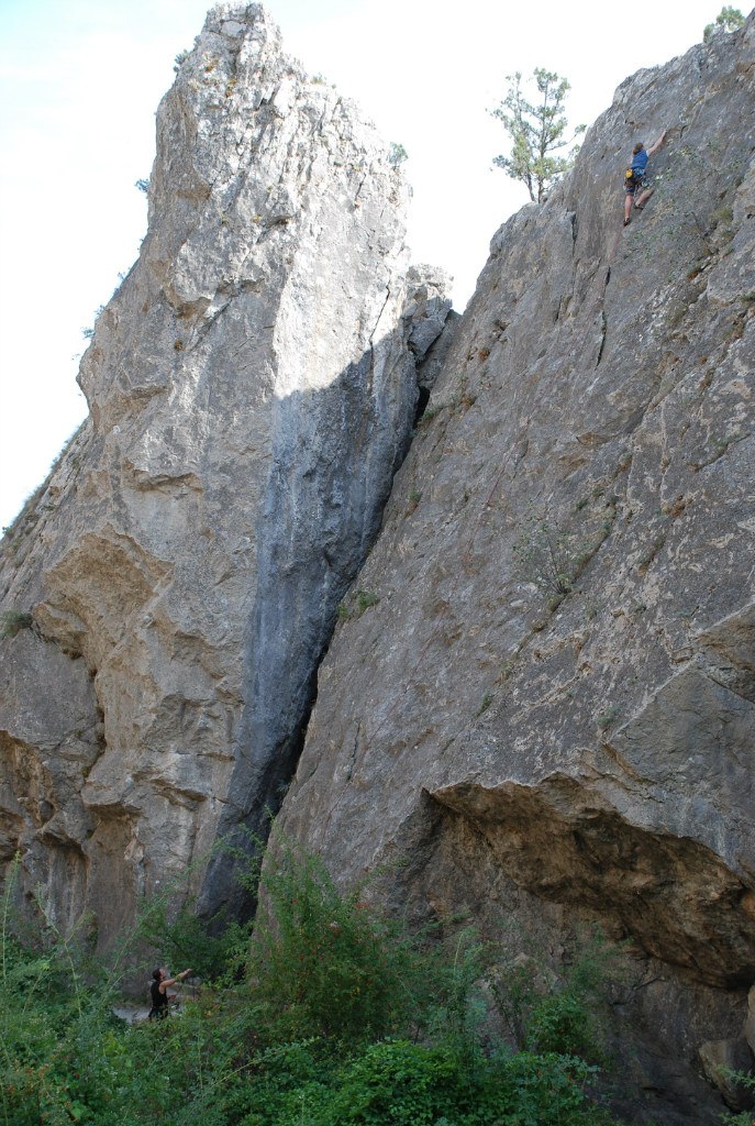 Дмитрий Наседкин | Киев