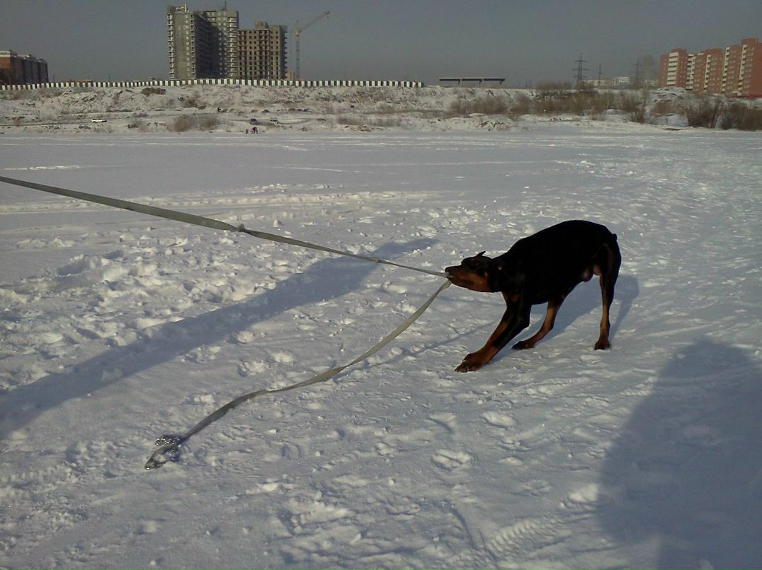 Татьяна Плетнёва-Константинова | Усть-Уда