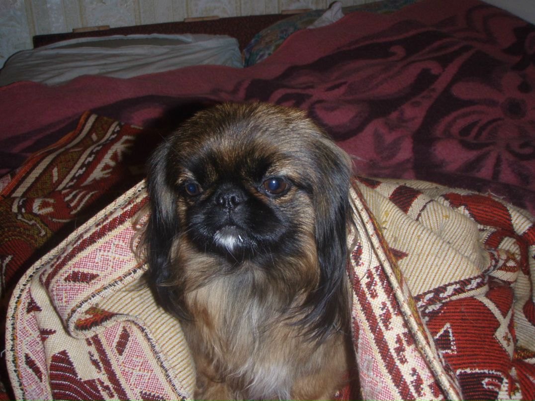 Галина Булачек | Магнитогорск