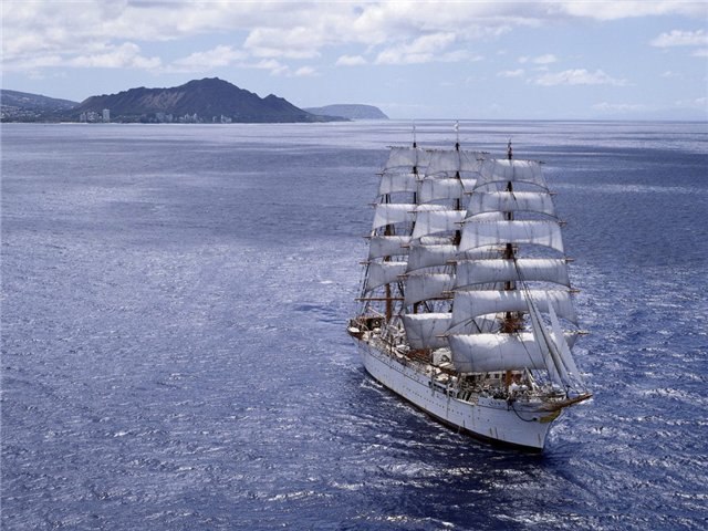 Сєня Липовий | Сквира