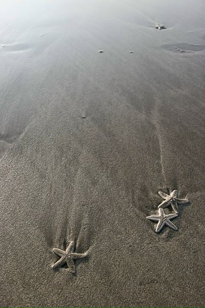 №185, Марина Целых, Москва, Россия №185, Марина Целых, Москва, Россия