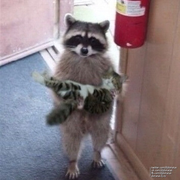 №29, Фея Чудесная, Новокузнецк №29, Фея Чудесная, Новокузнецк