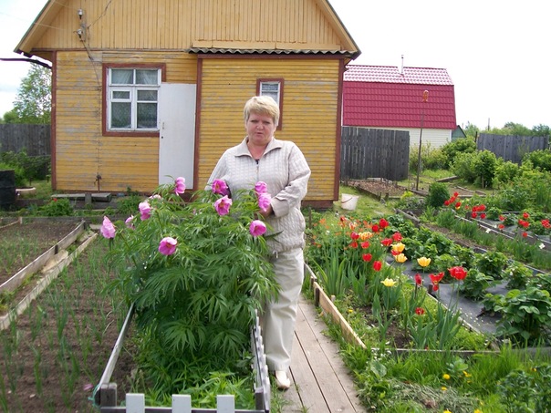 №9, Татьяна Шабанова №9, Татьяна Шабанова