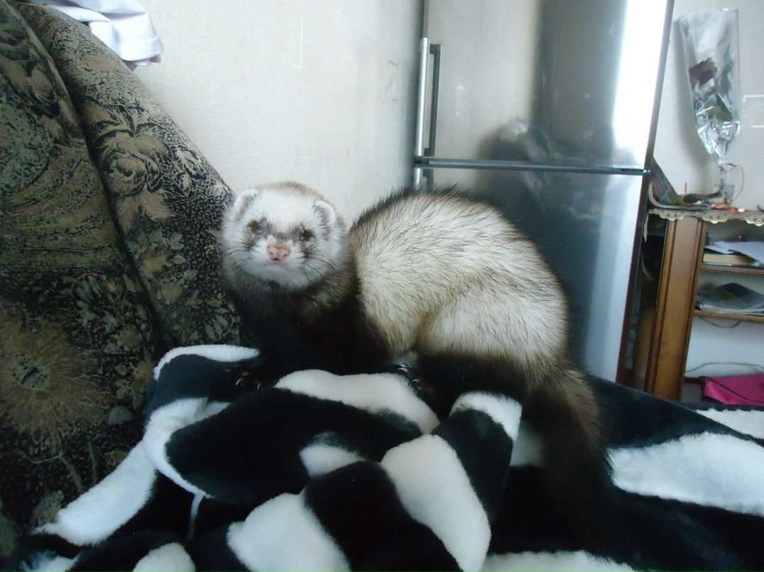 Виктория Голованева МалыШка | Красноярск