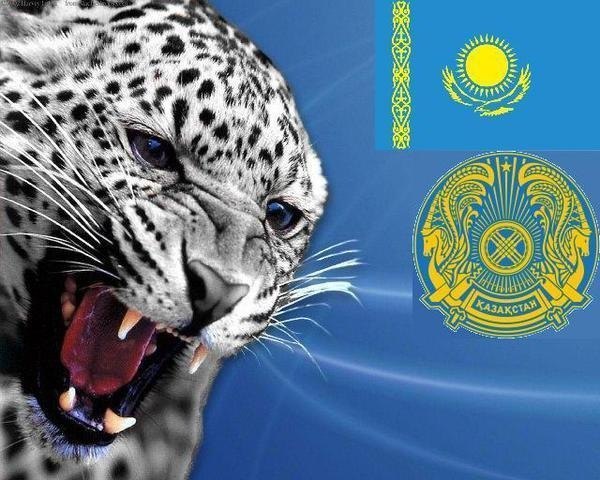 Жанна Мейрам | 