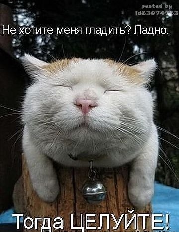 Юлия Петрова | Санкт-Петербург