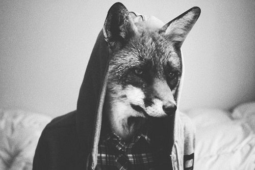 Вен Глен и | Киев