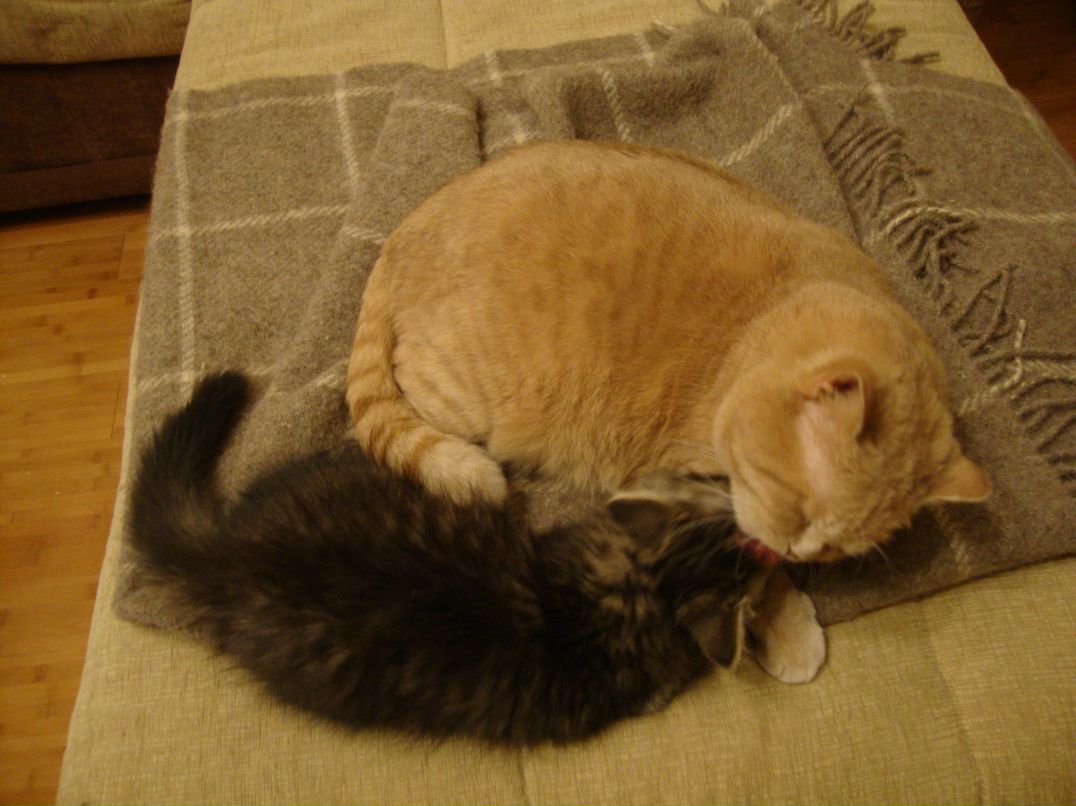 Татьяна Сухенко | Санкт-Петербург