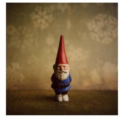 Максим Вождаев | Санкт-Петербург