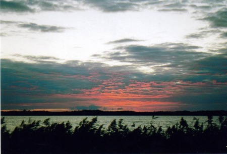 №95, Анна Сущенко №95, Анна Сущенко